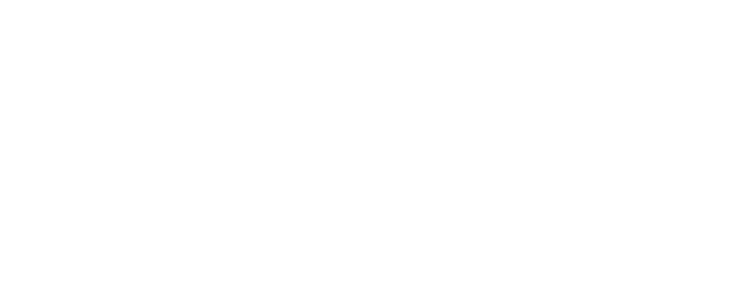 Logo de SAC Fly